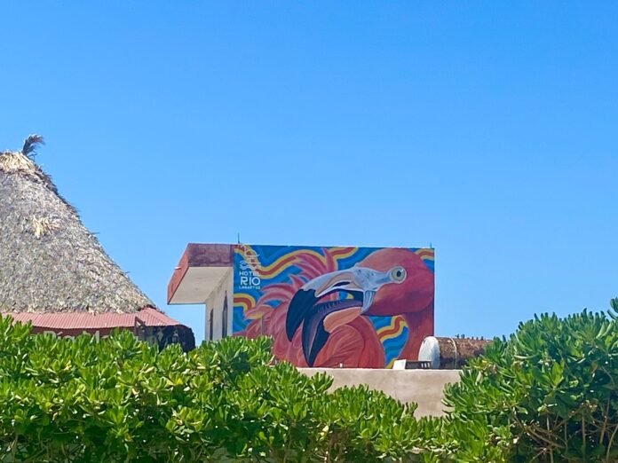Hotel Río Lagartos inaugura mural de flamingo en iniciativa comunitaria de arte urbano