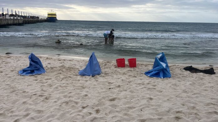 Playa del Carmen: Autoridades retiran a argentinos que ofrecían servicio de crioterapia en la playa