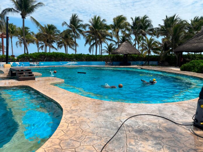 Caso Mincho: Clausura y denuncia penal por maltrato a delfines en Dolphinaris Barceló