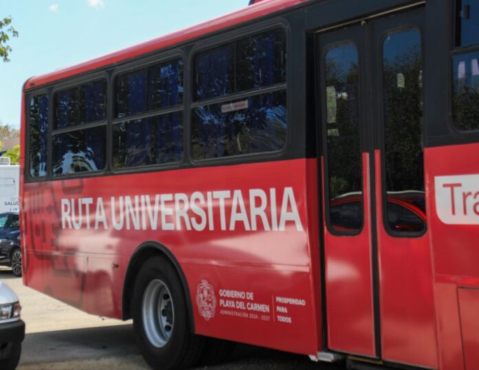 Estefanía Mercado anuncia “Ruta Universitaria: Transporte sin tanto choro” para garantizar movilidad gratuita a más de 1,700 estudiantes en Playa del Carmen