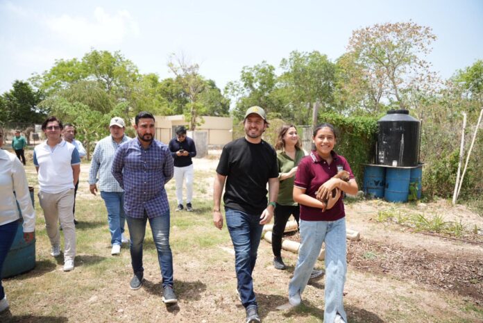 Con participación de Cabildo Infantil, promueven un mejor bienestar animal