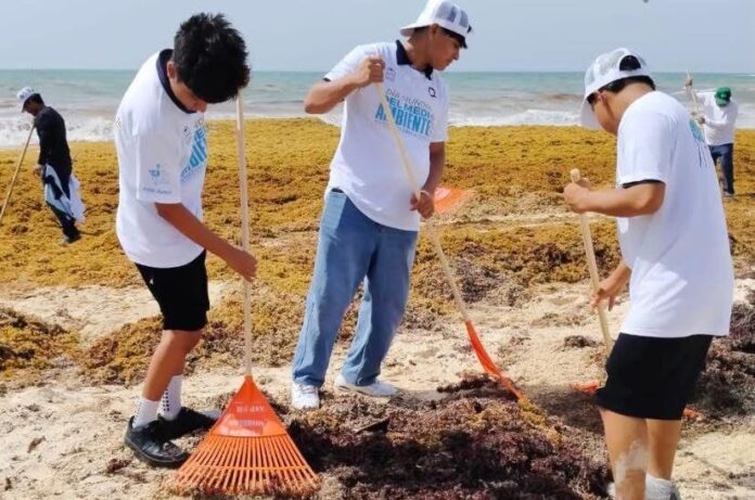 Sindicato de Taxistas de Playa del Carmen impulsa labor social y ambiental con apoyo a estudiantes del CONALEP