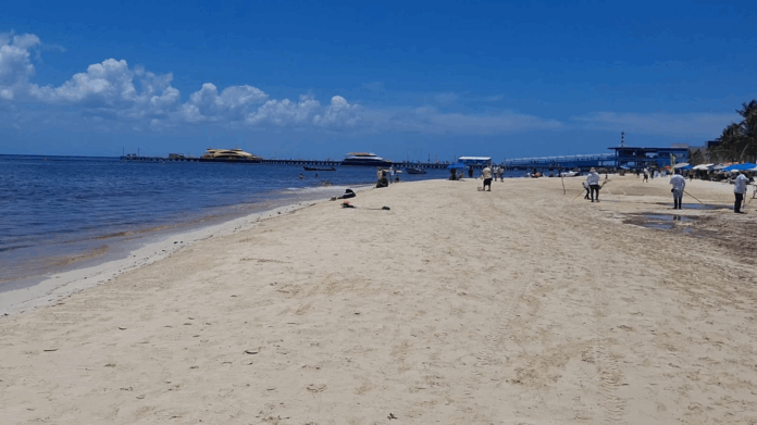 Arenales de Playa del Carmen lucen limpias y libres de sargazo, confirma Zofemat
