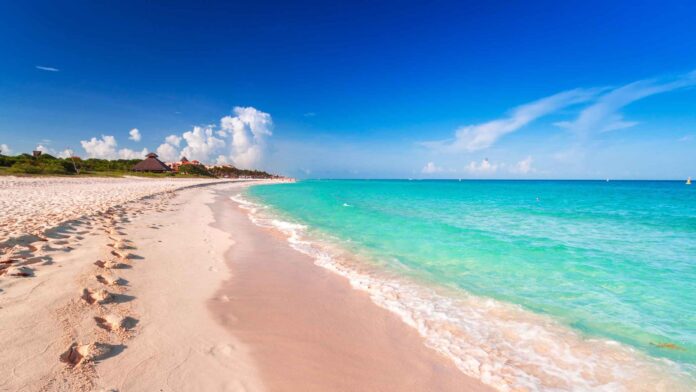 Estefanía Mercado posiciona a Playa del Carmen como el tercer municipio más seguro del país