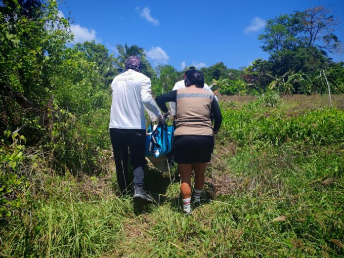 Atiende Medio Ambiente presunta caza ilegal de un venado en Playa del Carmen; el sujeto resultó detenido