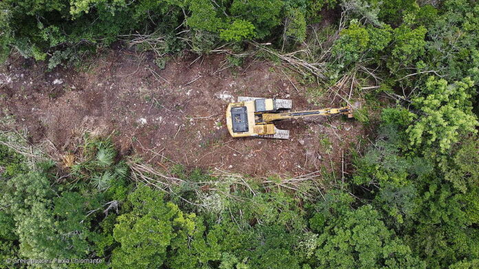 Ayuntamiento de Playa del Carmen aclara que no ha autorizado proyecto “Casa D” de Diego Dreyfus