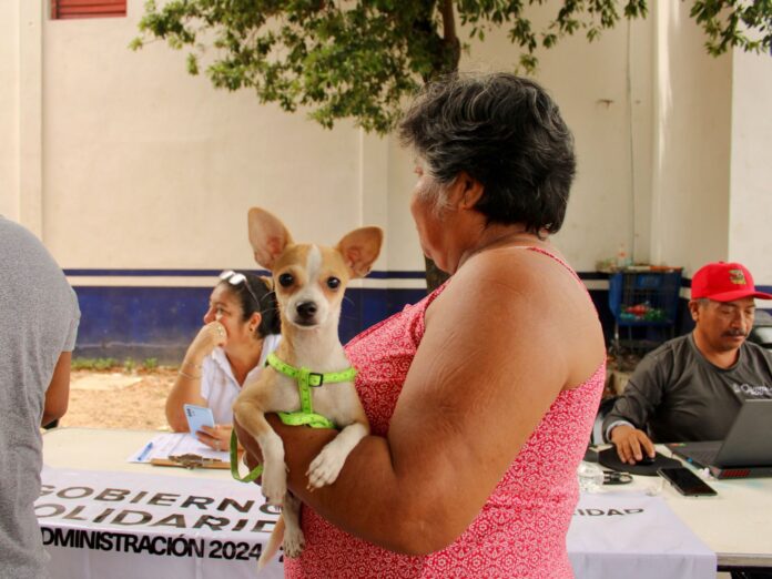 Por una mejor calidad de vida de los peluditos, Gobierno estatal y de Playa del Carmen promueven Bienestar Animal