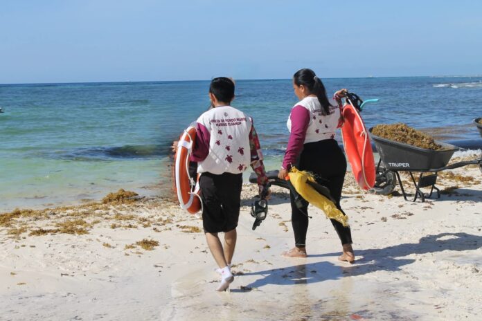 ZOFEMAT refuerza la limpieza del fondo marino en Playa del Carmen